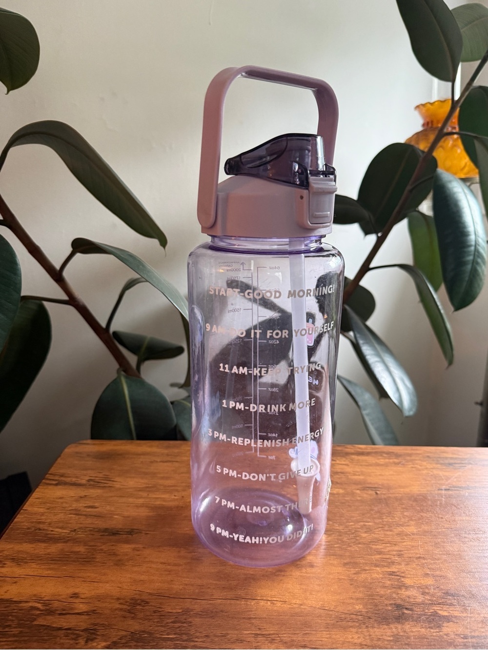 Motivational Water Bottle - Light Purple
